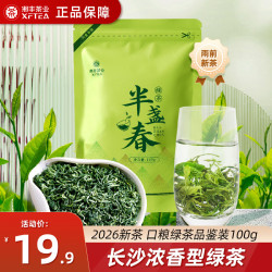 湘丰 2026新茶叶绿茶明前长沙金井绿茶袋装茶叶自己喝实惠口粮茶100g