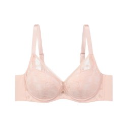 安莉芳 性感女性文胸 EB01053