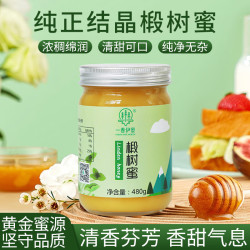 FORTY-FIVE NORTH 一春伊蜜 椴树蜜 480g