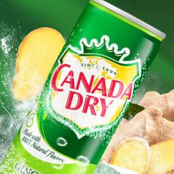 可口可乐 CANADA DRY干姜味可乐330ml波兰进口姜汁可乐气泡水碳酸饮料