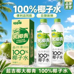 超吉椰 椰子水 1L NFC 大椰青 天然电解质 果汁 夏季清凉饮料 整箱