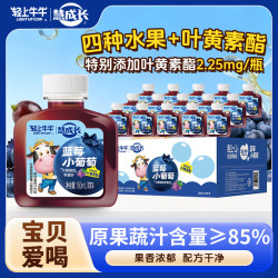 轻上 葡萄汁蓝莓果蔬汁 酸甜可口 4重果蔬小孩儿童果汁饮料整箱