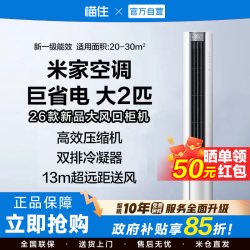 小米 MIJIA 米家 巨省电系列 PL30/N1A1(W) 新一级能效 立柜式空调