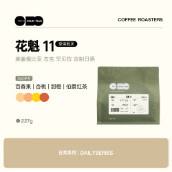 COLNK Colin Plus26产季 花魁11 埃塞古吉罕贝拉 空运日晒精品手冲咖啡豆 源头直发