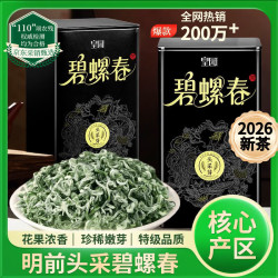 皇园 碧螺春茶叶2026新茶绿茶明前头采花果香嫩芽罐装自己喝250g送老师