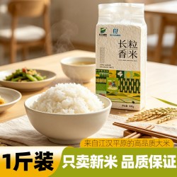 长江绿地长粒香 米丝苗米香优米江汉大米新米锁鲜高端