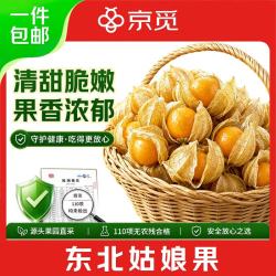 京觅 东北姑娘果净重2斤灯笼果黄菇娘洋姑娘果水果特产 源头直发包邮