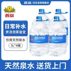 燕京啤酒 饮用天然泉水  4桶 5L