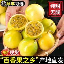 张小壮 广西 钦蜜9号黄金百香果 1斤 中果