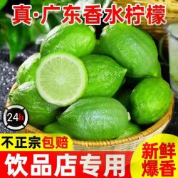 张小壮 广东 香柠檬 1斤 50-70g
