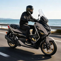 天鹰 TX150F 豪华版 燃油踏板摩托车 250cc 雅灰