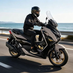 天鹰 TX150F 豪华版 燃油踏板摩托车 250cc 雅灰