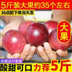 张小壮 广西 紫皮百香果 1斤 中果