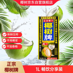 椰树 椰汁 1L*4盒 植物蛋白饮料 正宗海南特产 年货送礼