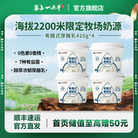 塞上一头牛 希腊式厚酪乳 5g优质乳蛋白 0色素0香精 绵密细腻口感风味发酵乳 420g*4桶