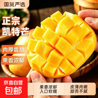 （自产自销）正宗四川攀枝花凯特芒果大芒果孕妇水果新鲜整箱