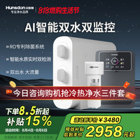 汉斯顿 净水器家用直饮厨房无桶大流量500G双出水净水机ro纯水C2