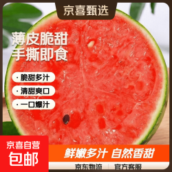 京喜自营-专用品牌 河南 小糖丸西瓜 手剥皮 1.5-2斤
