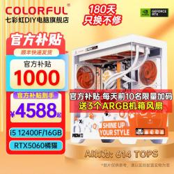 七彩虹 RTX4060Ti 台式电脑 16GB(8G*2)内存 512GB M.2  Core i5-12400F RTX 4060 16GB