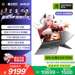 机械革命 蛟龙16Pro R9-9955HX RTX5060 300Hz 16G+1T 笔记本电脑