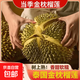 京东自营 泰国 巴掌金枕榴莲 新鲜水果 3-4斤