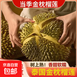 泰国 巴掌金枕榴莲 新鲜水果 3-4斤