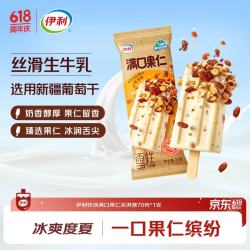 伊利 满口果仁冰淇淋 70g*1
