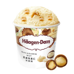 哈根达斯 夏威夷果仁口味冰淇淋 473ml