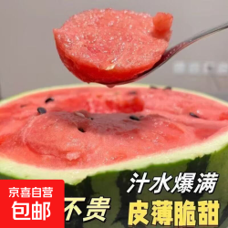 美都 正宗现摘麒麟西瓜 8-10斤装