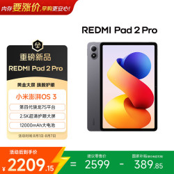 小米 REDMI 红米 Pad 2 Pro 柔光版 12.1英寸 平板电脑（2560*1600、高通跷龙 7s Gen4、12GB、256GB、WiFi版、深灰色）