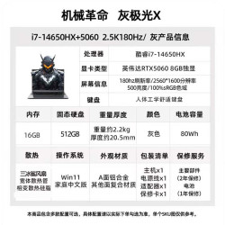 机械革命 极光X 十三代酷睿版 16英寸 游戏本
