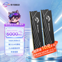 SAMNIX 电竞超频 台式机内存条  8GB*2 16GB