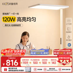 童视界 普瑞红光护眼大路灯 全光谱 120W 落地台灯