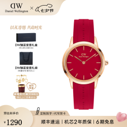 Daniel Wellington DanielWellington）DW小黑胶橡胶腕表表DW00100503