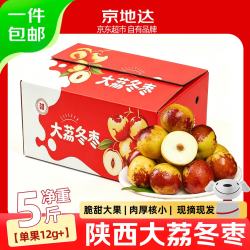 京地达 陕西大荔冬枣净重5斤L2级单果12g+脆甜大枣新鲜水果源头直发包邮