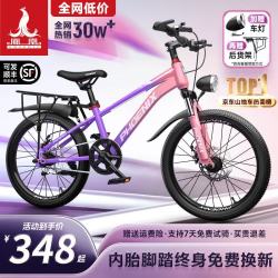 PHOENIX 星际 单速碟刹 粉紫 22英寸 山地自行车
