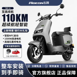 FG FLYING PIGEON 飞鸽 N100 电动摩托车 10210417298253 0.1A订制款