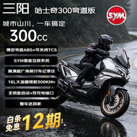 SYM 哈士奇300 26款 长续航 踏板燃油摩托车 太空灰