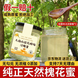 洋槐蜜纯正天然槐花蜜农家自产封盖成熟纯蜂蜜无添加 2026年·新采原蜜 500g*1瓶