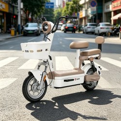 台铃 大果粒 电动自行车 48V 20AH