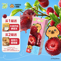 蒙牛 真果粒牛奶饮品 东魁杨梅味 含乳饮料 250g×12盒