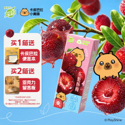 蒙牛 真果粒牛奶饮品 东魁杨梅味 含乳饮料 250g×12盒