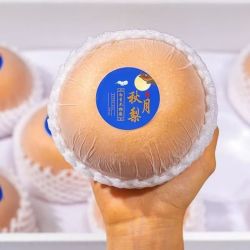 特大果王  山东 秋月梨 2.5斤装 单果270-500克+