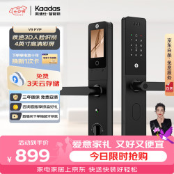 凯迪仕 V9 FVP 3D人脸识别 智能门锁