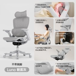 Everseat Luna 人体工学电脑椅 朝雾灰