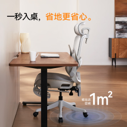 西昊 B100Lite 人体工学椅 B100Lite灰 无脚踏 弹弓骶枕