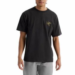ARC'TERYX Arcteryx始祖鸟KRAGG COTTON LOGO SS纯棉圆领T恤男女同款08464