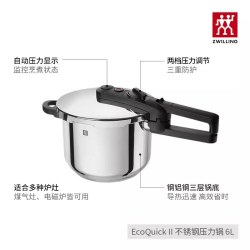 双立人 EcoQuickII 不锈钢压力锅 6L 22cm