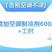 京东养车 添加空调制冷剂600g｜含工时