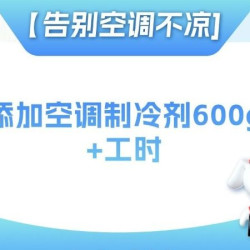 京东养车 添加空调制冷剂600g｜含工时